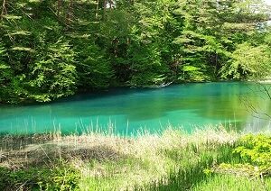 lakeresortact6