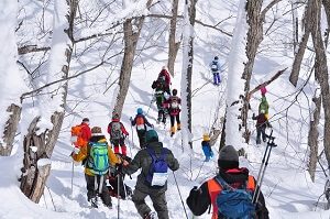 iwatake-snow-shoe300