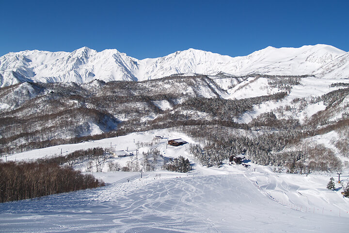 HAKUBA VALLEY栂池高原スキー場