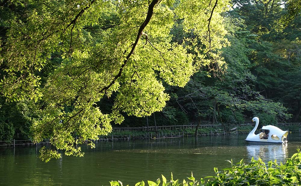 井の頭恩賜公園