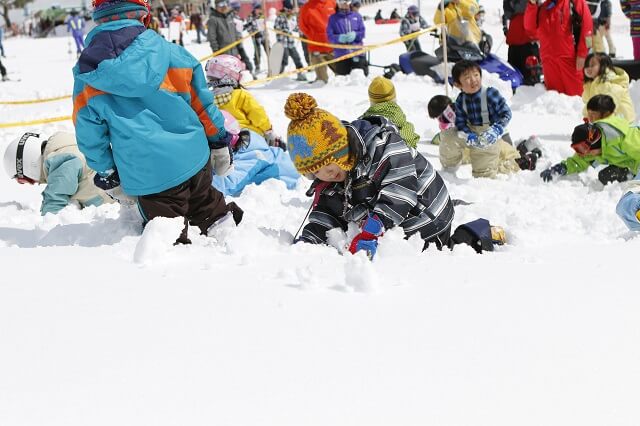 何が見つかるかはお楽しみ！「雪上お宝さがし」【斑尾高原スキー場】