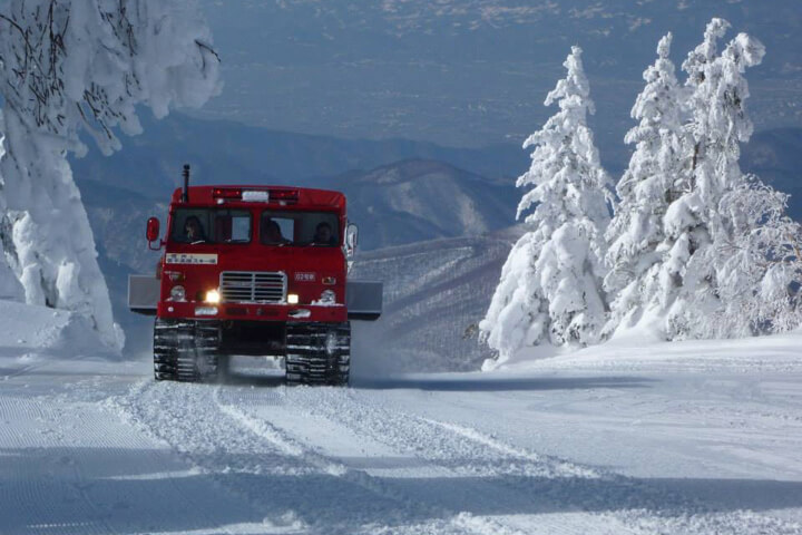 滑るだけじゃ物足りない？それなら特別な雪のイベントも…のイメージ