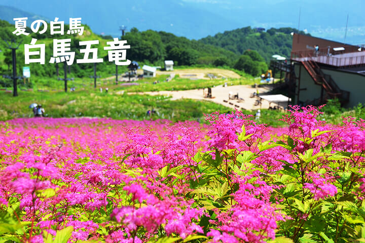 夏の白馬旅行[白馬五竜]おすすめの観光地をご紹介のイメージ
