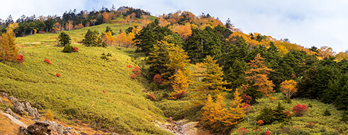 群馬県イメージ（万座温泉）
