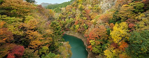群馬県イメージ（猿ヶ京）