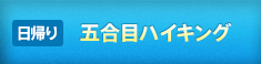 尾瀬直通バス