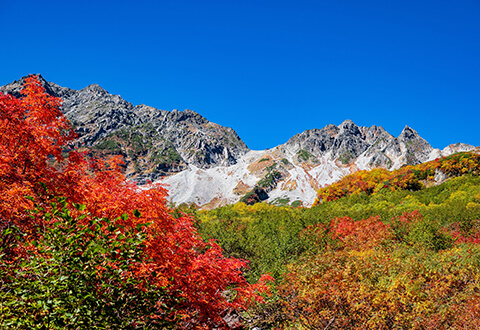紅葉(イメージ)