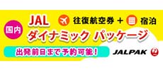 JAL国内ダイナミックパッケージ