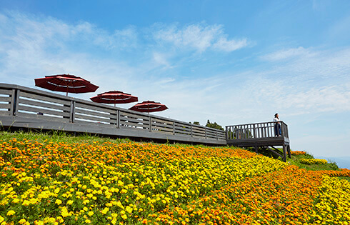 湯沢高原