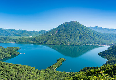 栃木