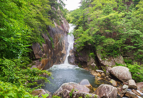 山梨
