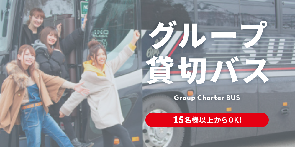 宿泊 日帰りバスプラン ツアーインフォメーション 東京 関東発スキーツアー スノボーツアーや宿泊 日帰りスキープランならトラベルインにお任せ 宿泊 日帰りバスプラン ツアーインフォメーション 東京 関東発スキーツアー スノボーツアーや宿泊 日帰りスキープランならトラベルインにお任せ
