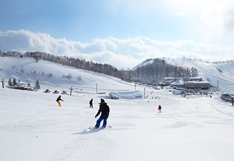 HAKUBA VALLEY鹿島槍スキー場