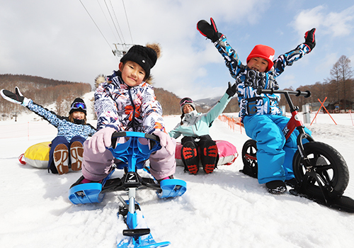 グランデコスノーリゾート