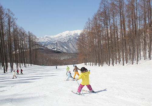 水上高原スキーリゾート