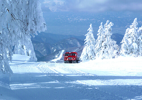 菅平高原スノーリゾート