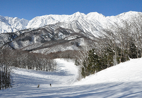 白馬岩岳スノーフィールド