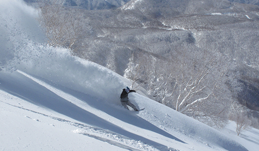 パウダースノー