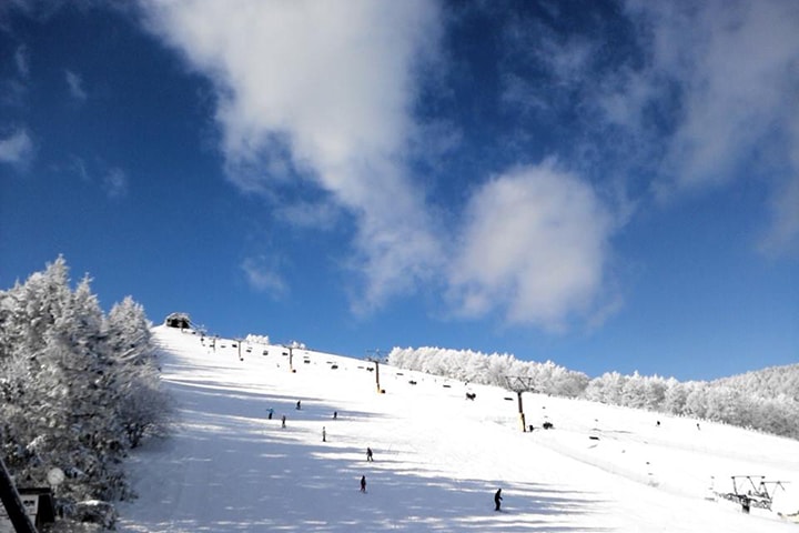 春スキーランキング画像