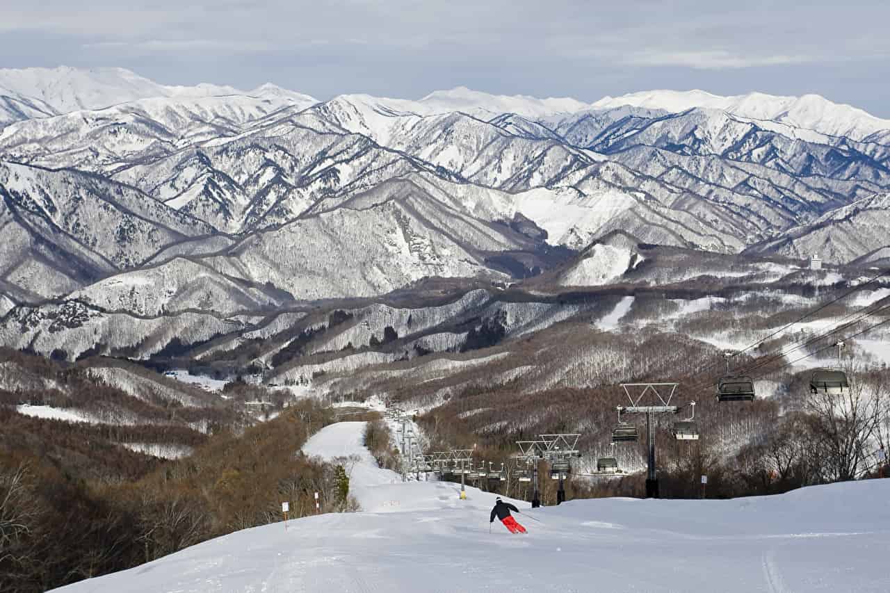 水上高原スキーリゾート リフト券 優待券 - スキー場