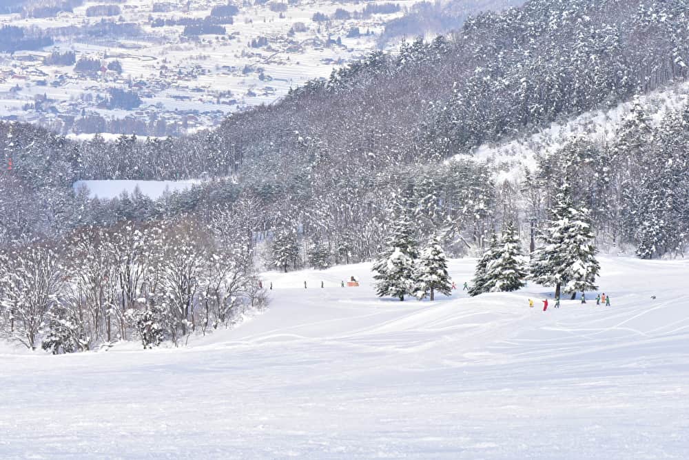 北信州木島平スキー場