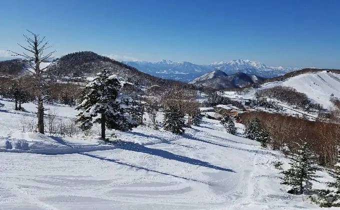 タンネの森　オコジョスキー場