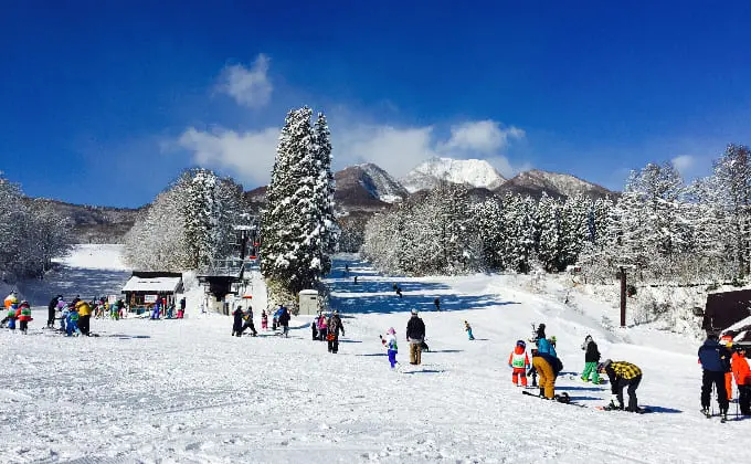 妙高杉ノ原スキー場