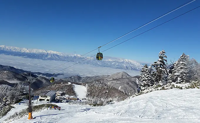 志賀高原スキー場への格安ツアーならトラベルイン！ | スキーツアー