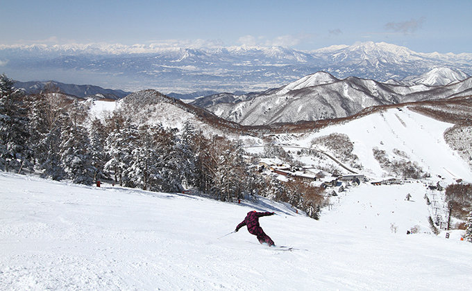 志賀高原スキー場への格安ツアーならトラベルイン スキーツアー スノボツアーの日帰り 宿泊ならトラベルイン22 23