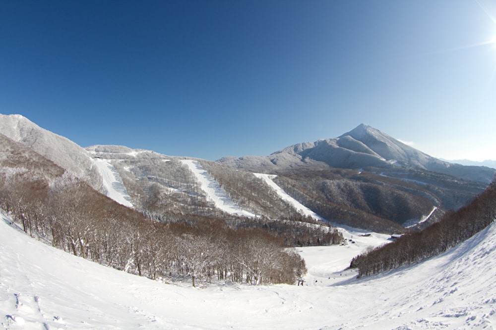 星野リゾート ネコママウンテン
