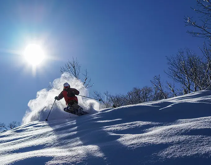 新潟県のスキー場