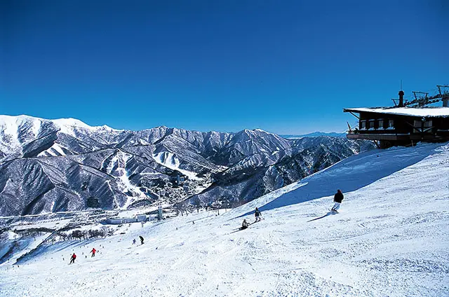 4つのエリアがつながった、Mt.Naebaってどんなところ？