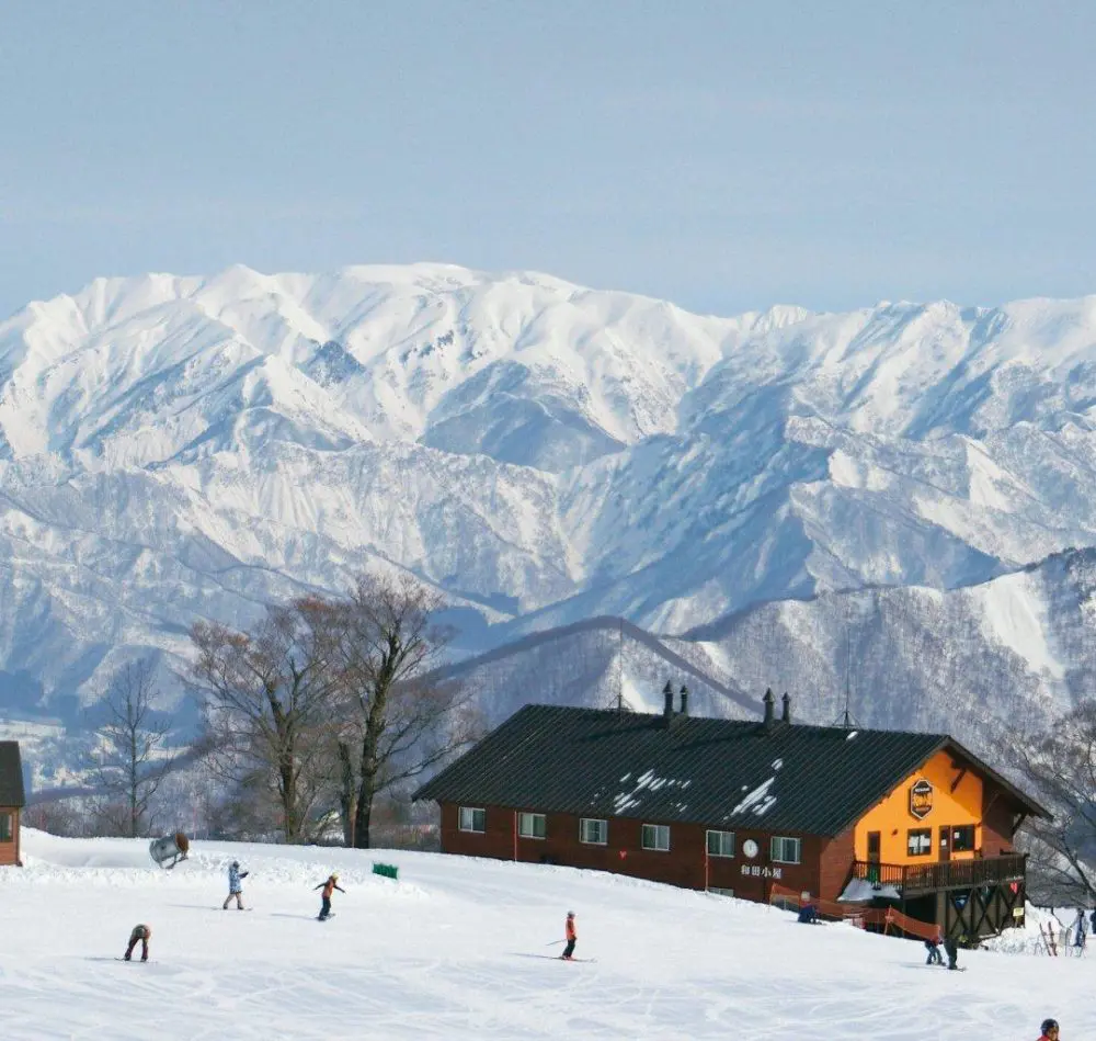 サラサラのパウダースノーと豊富な積雪量のコース