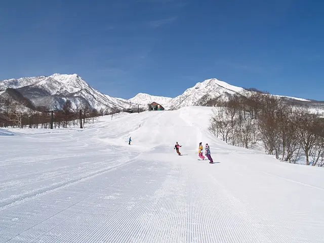 1日では滑り切れないほど広大なゲレンデ！