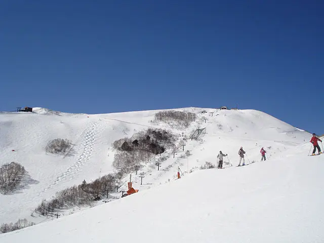 冬晴れのもとで楽しく滑る！「白樺湖ロイヤルヒル」（長野県）