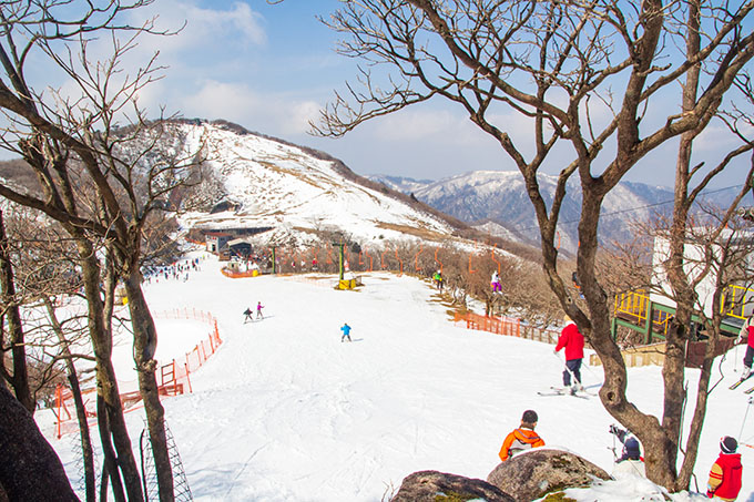スキー場 スキーツアースノボーツアーの日帰り 宿泊ならトラベルインへ