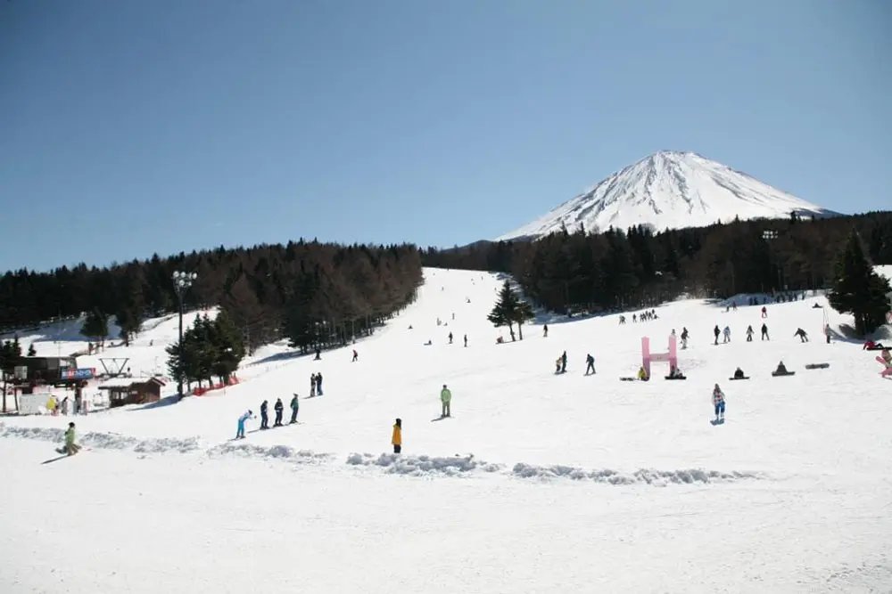 山梨のおすすめスキー場3選！人気の理由と日帰り温泉情報をご紹介