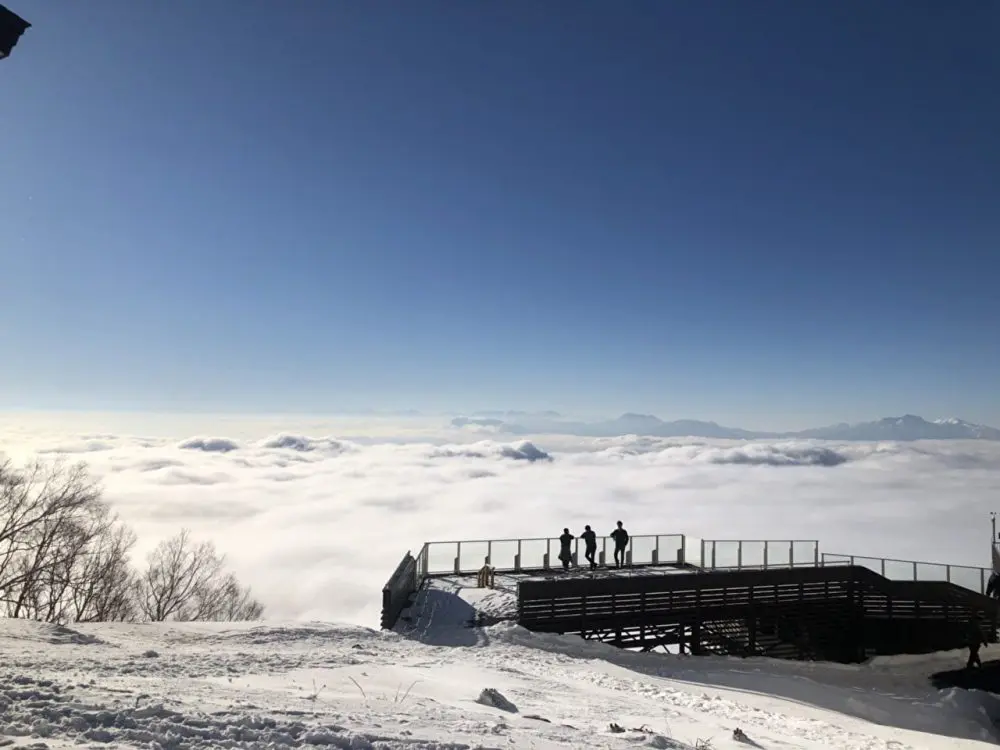 スキー場 雪質 ランキング