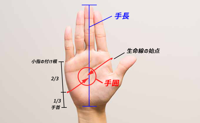 スキー手袋＿手囲の説明