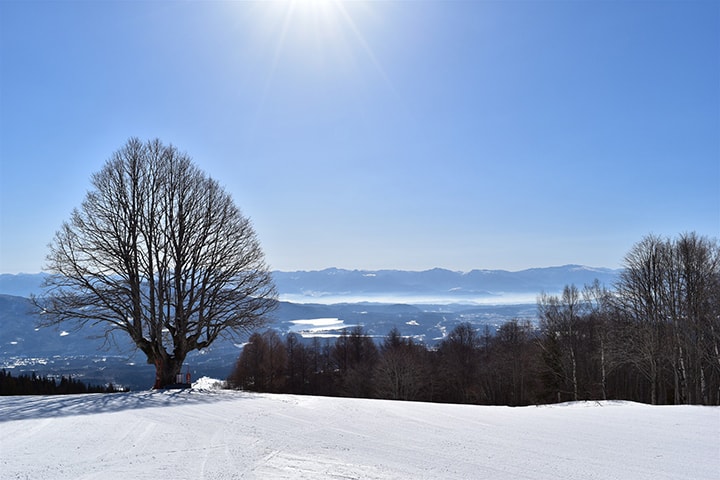 妙高池の平温泉スキー場