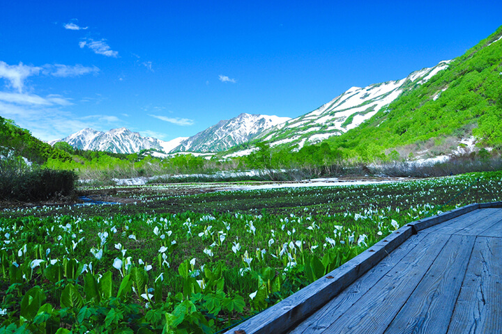 栂 池 天気