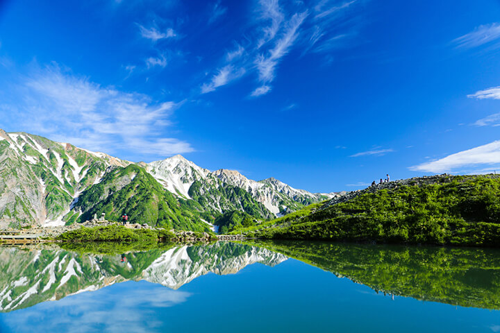 夏の八方池