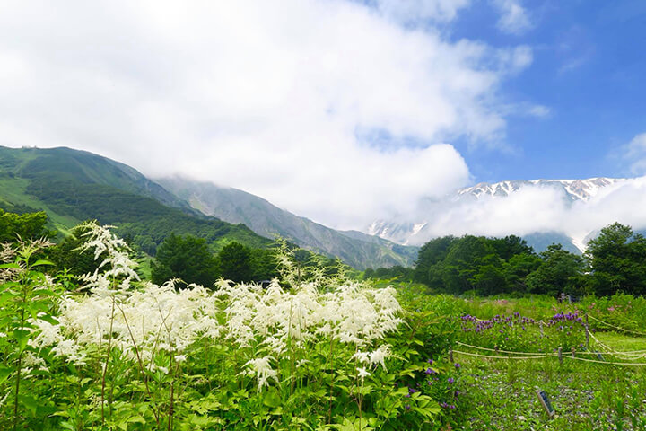 北尾根高原